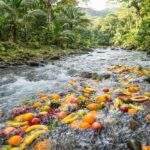 Los amigos de Capay y la Décima: Eso me lo trajo el río 