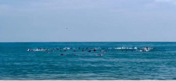 Surfistas rinden emotivo homenaje a sus caídos en La Guaira