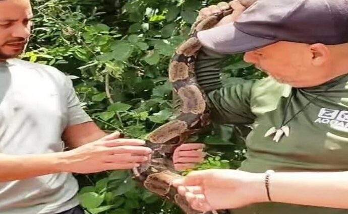 Liberan más de 200 ejemplares de fauna silvestre en reservas protegidas de Cojedes