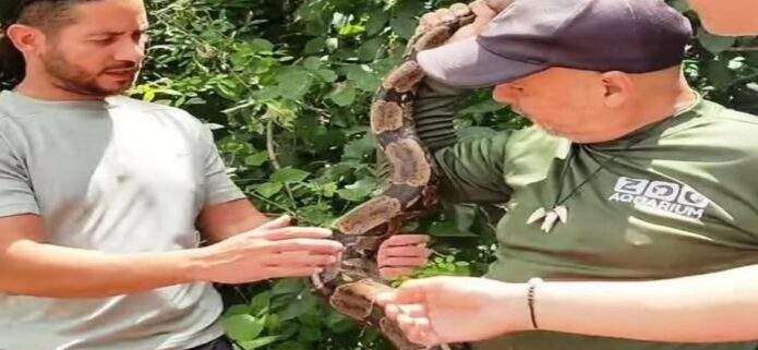Liberan más de 200 ejemplares de fauna silvestre en reservas protegidas de Cojedes