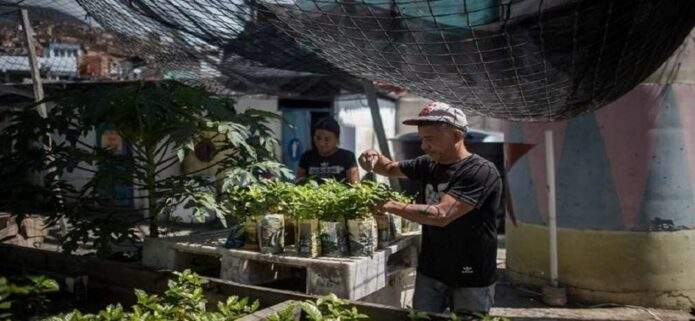 Zona de Descarga activa campaña de autogestión en Petare para apoyar a los damnificados de La Guaira