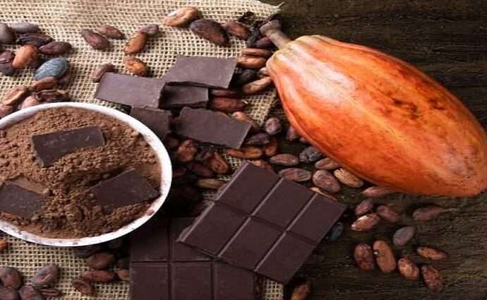 El Secreto Detrás del Mejor Chocolate del Mundo: El Cacao Venezolano Triunfa en su Día Internacional