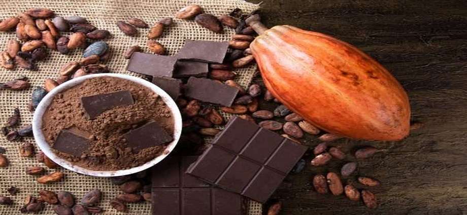 El Secreto Detrás del Mejor Chocolate del Mundo: El Cacao Venezolano Triunfa en su Día Internacional