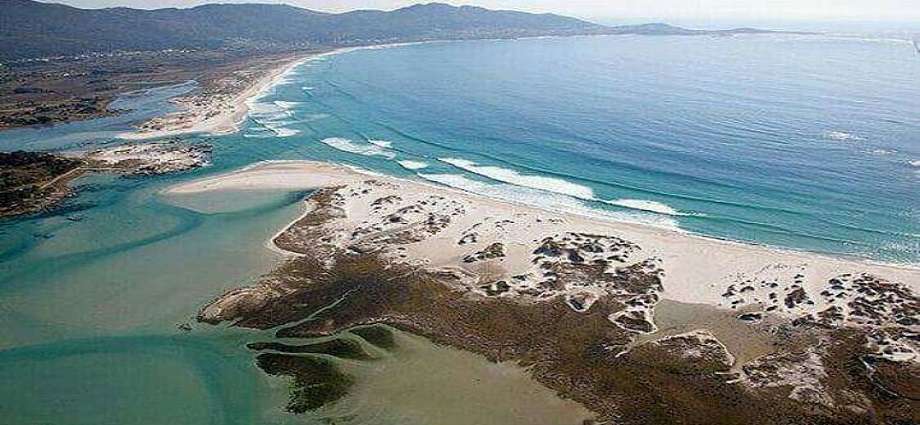 El Museo Marino de Margarita impulsa la tercera jornada consecutiva de limpieza de playas en Macanao