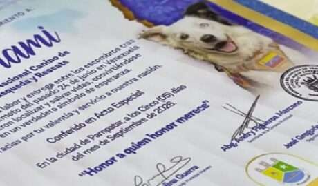 El Municipio Maneiro rinde homenaje a Tsunami, el perro rescatista que conmovió a Venezuela