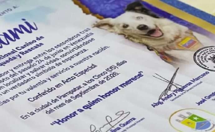 El Municipio Maneiro rinde homenaje a Tsunami, el perro rescatista que conmovió a Venezuela