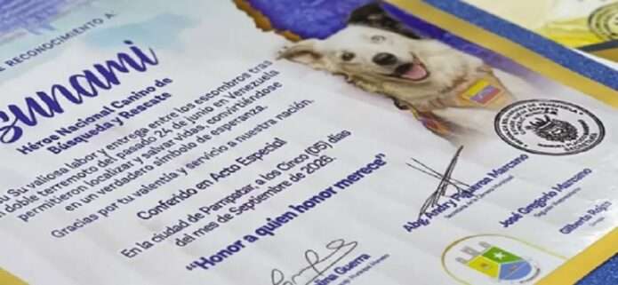 El Municipio Maneiro rinde homenaje a Tsunami, el perro rescatista que conmovió a Venezuela