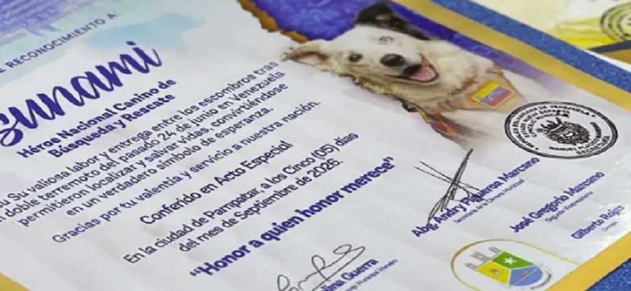 El Municipio Maneiro rinde homenaje a Tsunami, el perro rescatista que conmovió a Venezuela