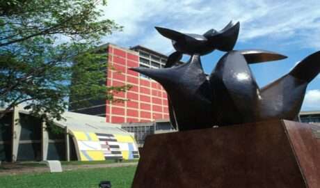 UCV propone orientar tesis y servicio comunitario hacia la reconstrucción de La Guaira