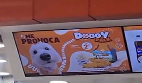 Arturos se convierte en una cadena 100% pet-friendly e integra «Doggy Pack»