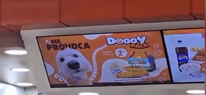 Arturos se convierte en una cadena 100% pet-friendly e integra «Doggy Pack»