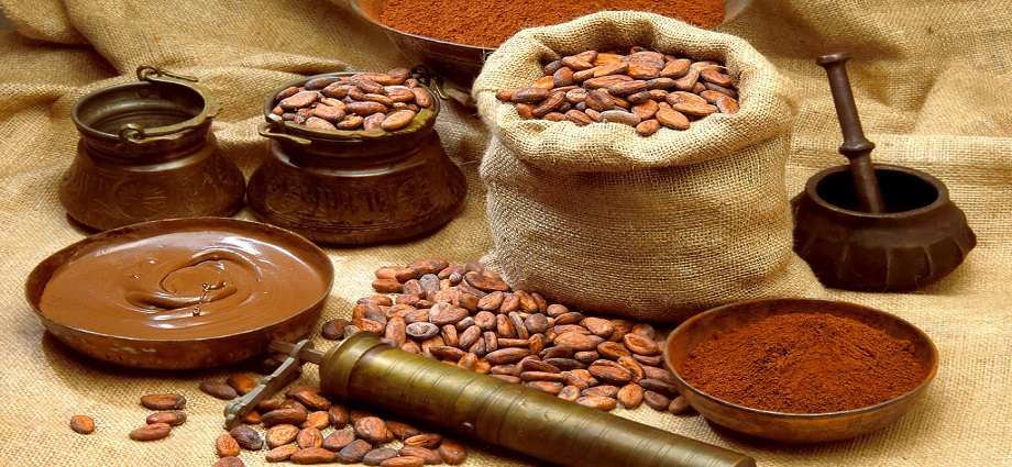 Día Nacional del Cacao Venezolano y su reinado global