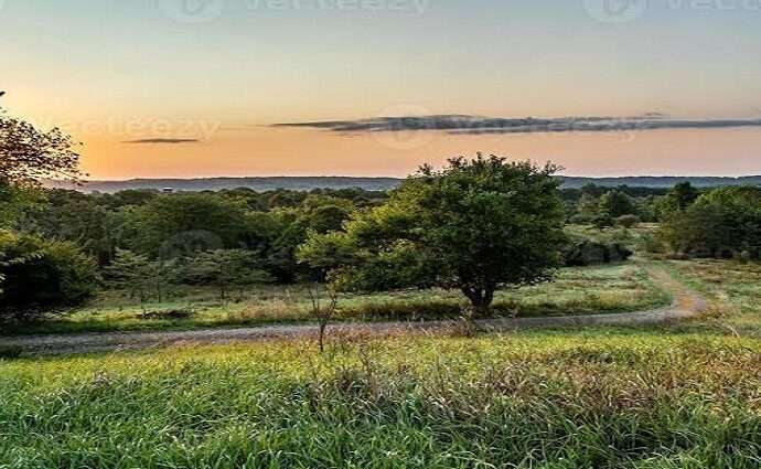 La Décima en el día a día: Sorpresa está amaneciendo