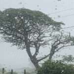 La Décima en el día a día: Esperando una buena lluvia