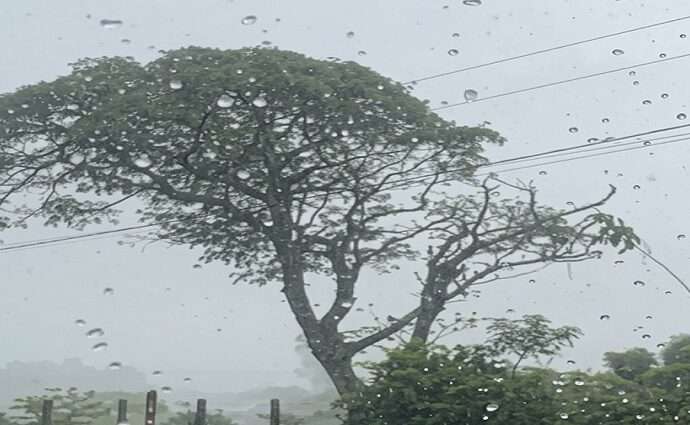 La Décima en el día a día: Esperando una buena lluvia