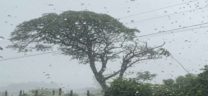 La Décima en el día a día: Esperando una buena lluvia