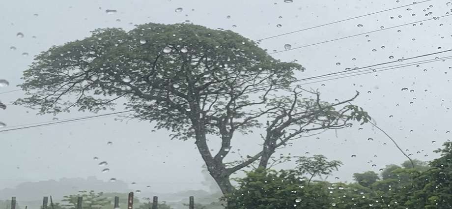 La Décima en el día a día: Esperando una buena lluvia