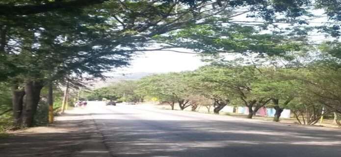 Octubre en el municipio Díaz
